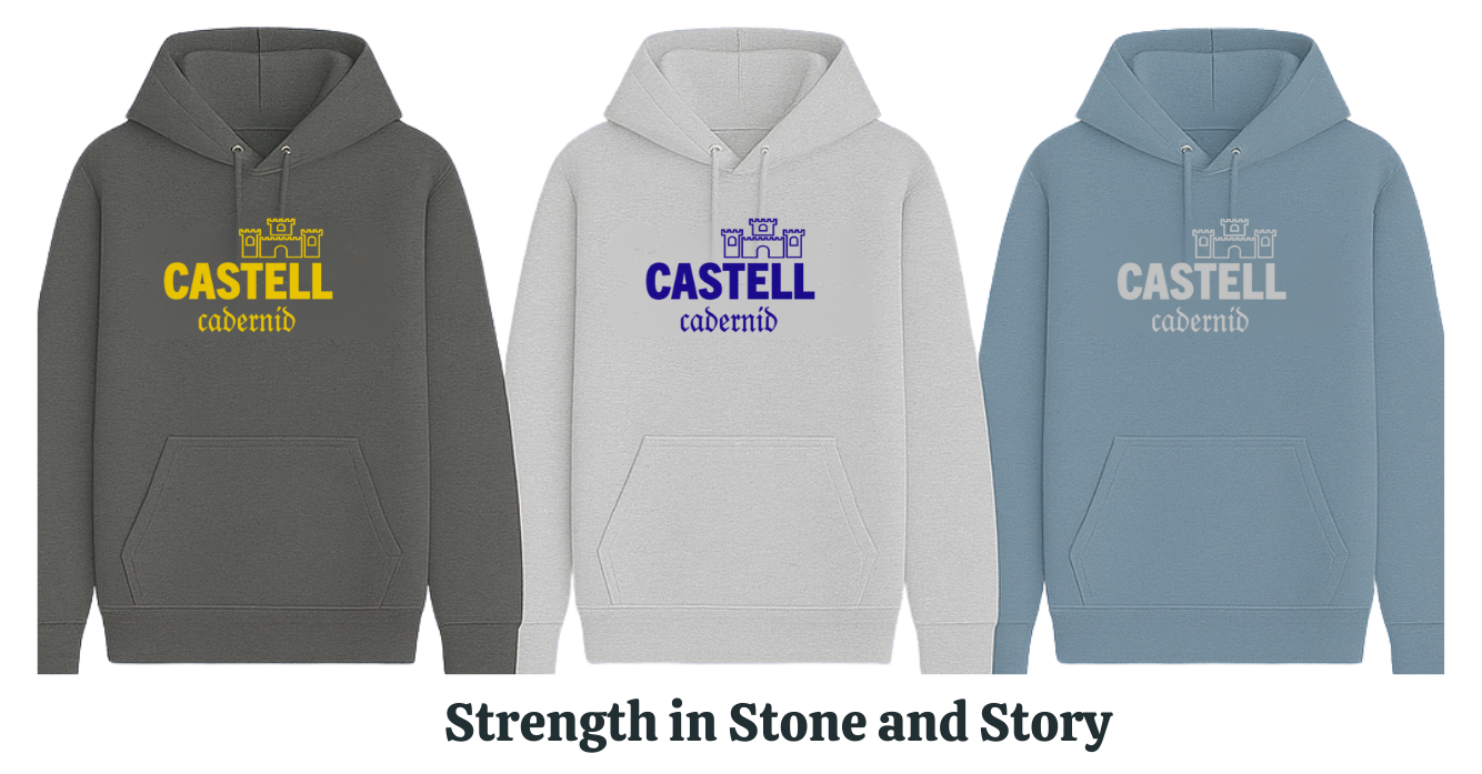 'Castell Cadernid' hoodie