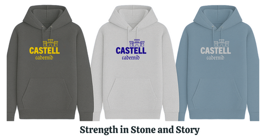 'Castell Cadernid' hoodie