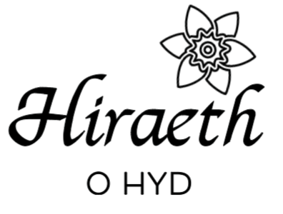 'Hiraeth o Hyd' Hoodie