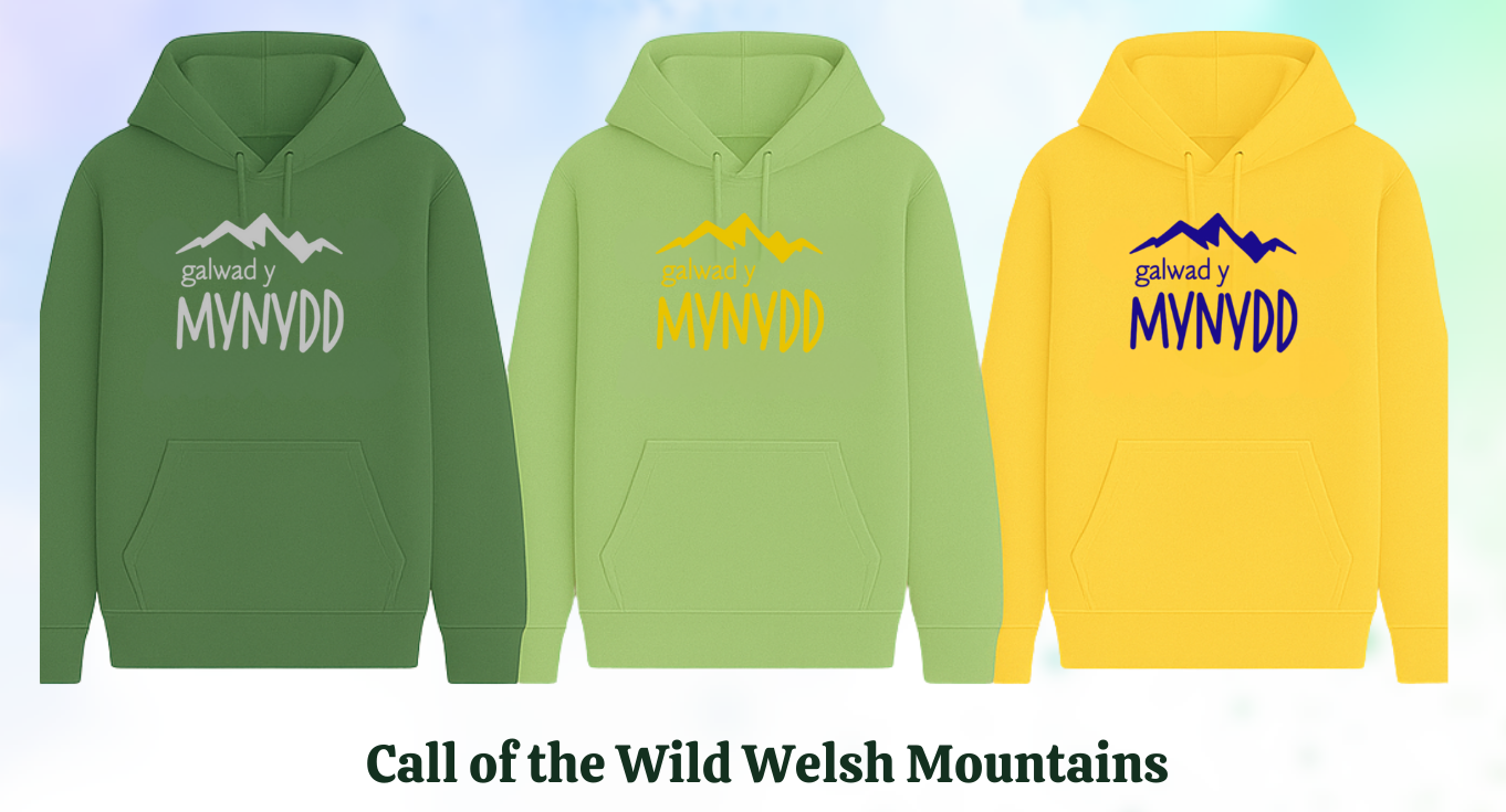 'Galwad y Mynydd' hoodie